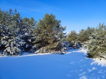Działka budowlana Ruda. Zdjęcie 4