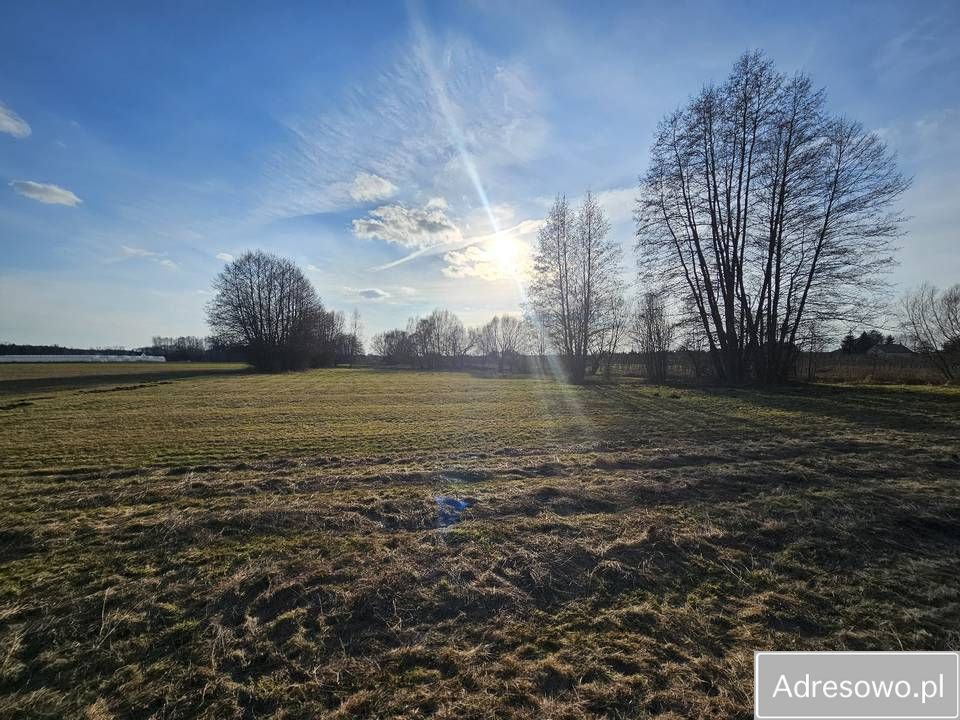 Działka rolna Kolonia Rozniszew. Zdjęcie 9