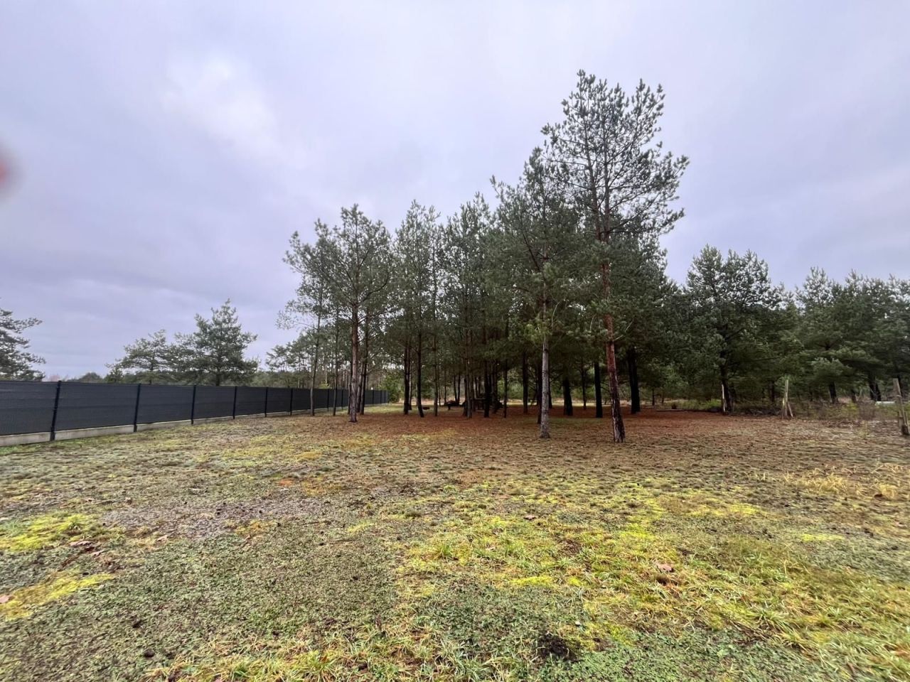 Działka budowlana Ruda. Zdjęcie 5