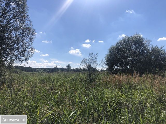 Działka budowlana Biłgoraj, ul. Lazurowa. Zdjęcie 1