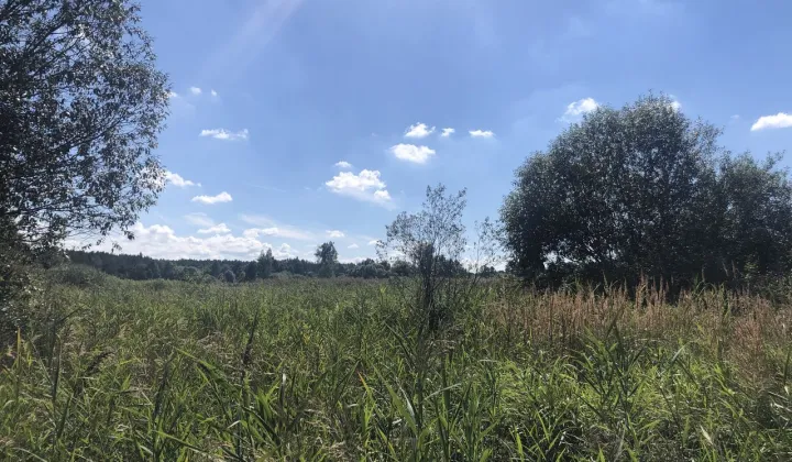 Działka budowlana Biłgoraj, ul. Lazurowa