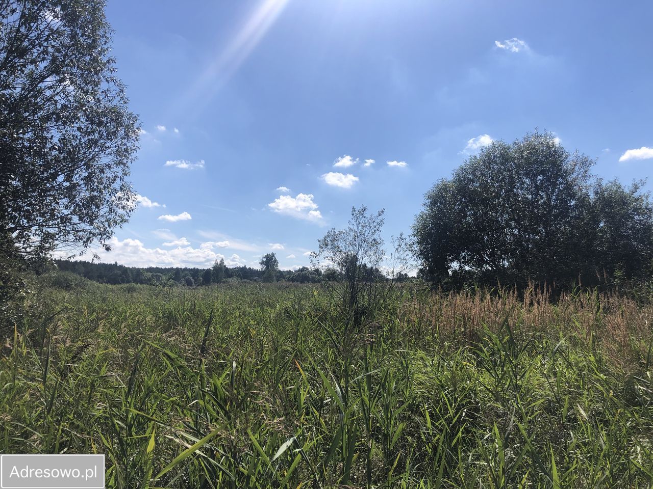 Działka budowlana Biłgoraj, ul. Lazurowa. Zdjęcie 1