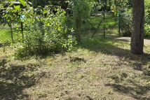 Działka rod Wrocław Śródmieście, ul. Odona Bujwida. Zdjęcie 3