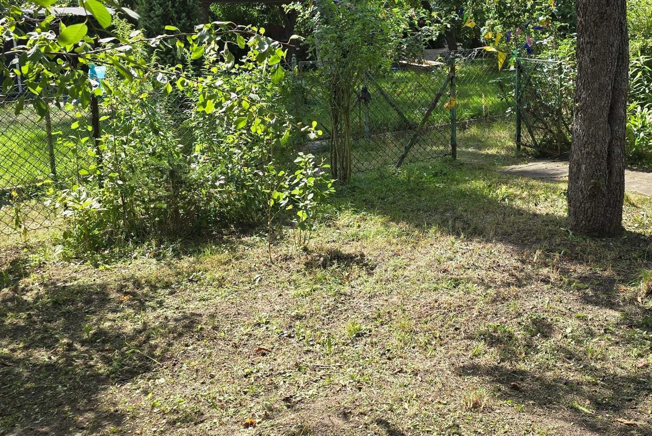 Działka rod Wrocław Śródmieście, ul. Odona Bujwida. Zdjęcie 4