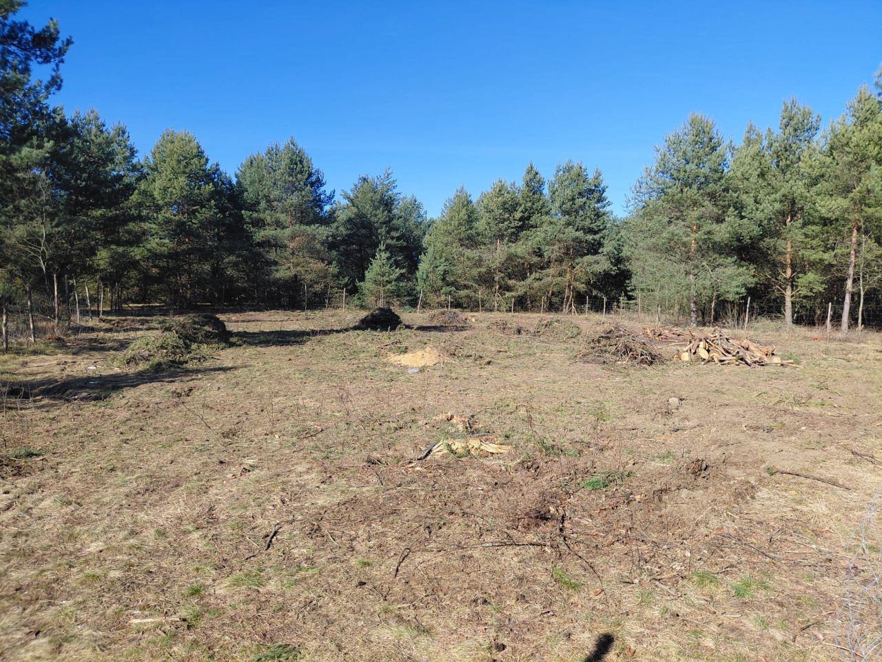 Działka rolno-budowlana Rościce. Zdjęcie 4