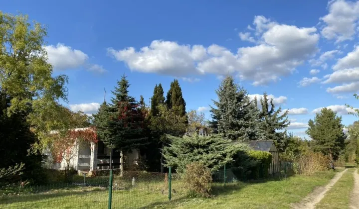 Działka rod Łódź Teofilów, Selerowa 25