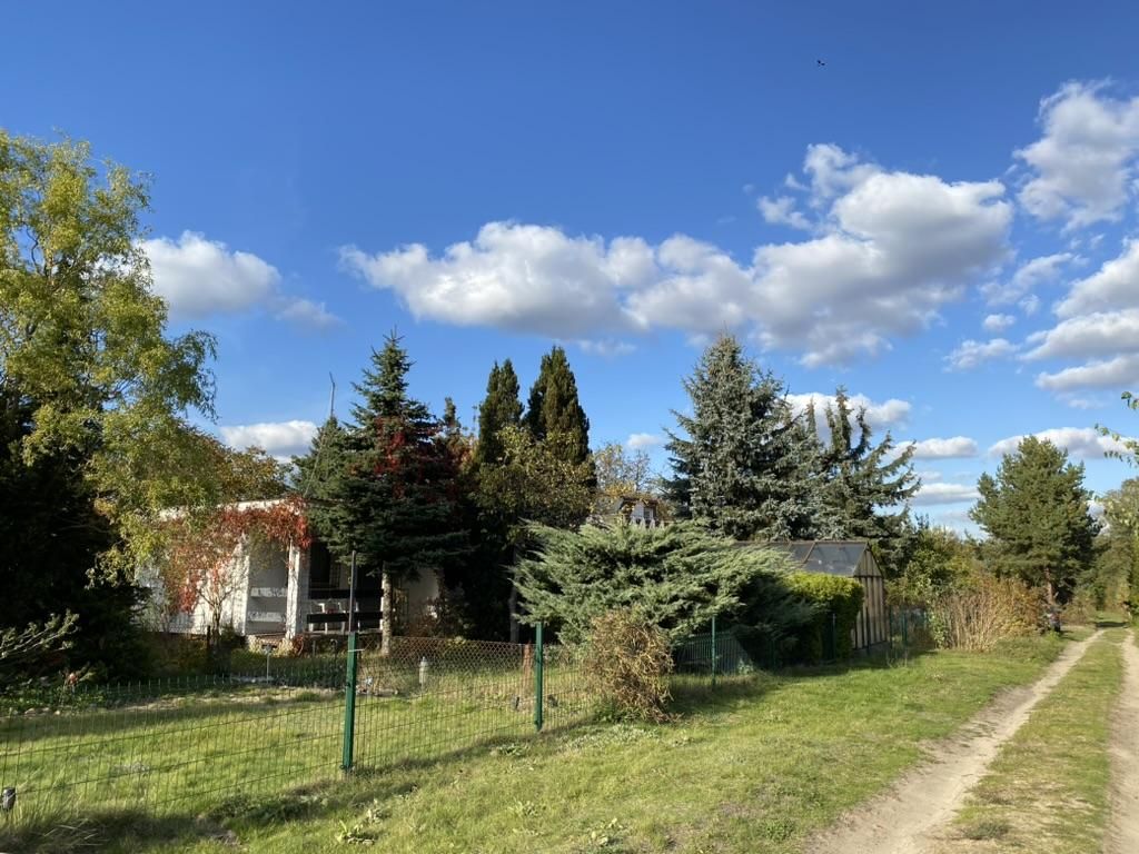 Działka rod Łódź Teofilów, Selerowa 25. Zdjęcie 1