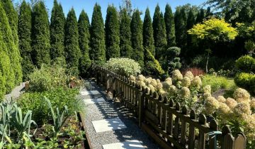 dom wolnostojący, 7 pokoi Trzebownisko