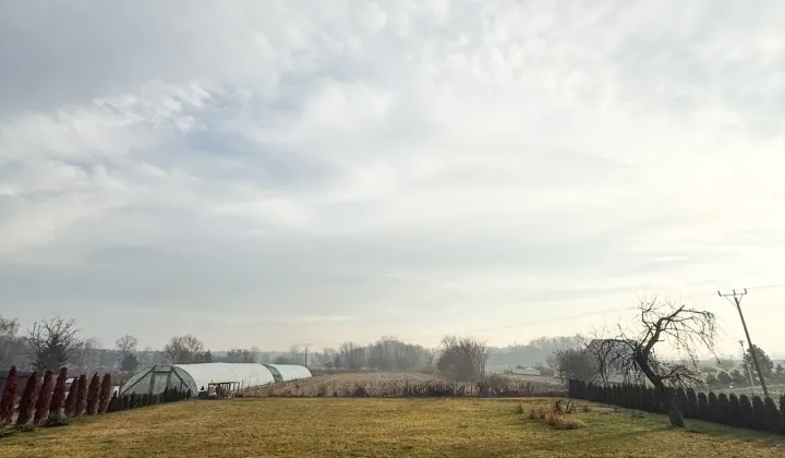 Działka budowlana Bielawa, ul. Wiązowa