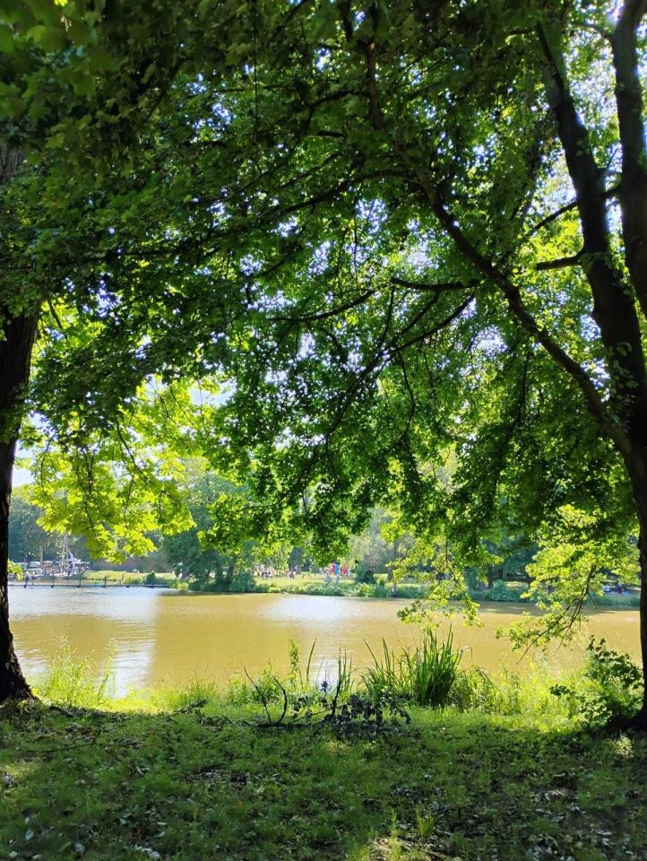 Mieszkanie 2-pokojowe Łódź Górna. Zdjęcie 2