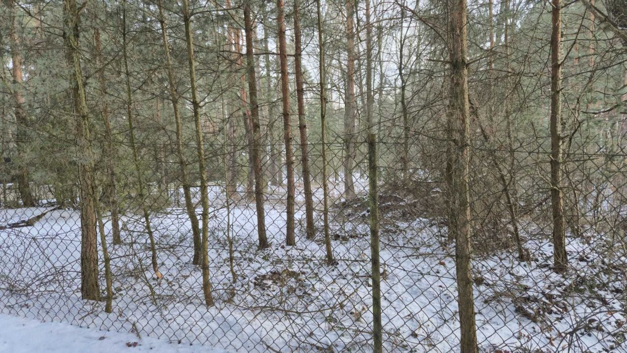 Działka budowlana Jedlicze B. Zdjęcie 6