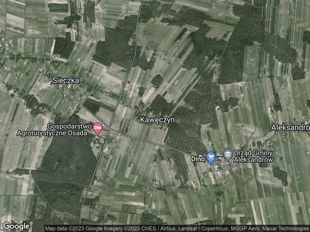 Działka leśna Kawęczyn