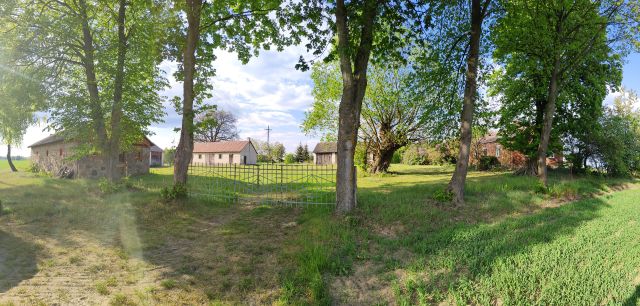 Działka rolno-budowlana Krasnosielc Leśny. Zdjęcie 1