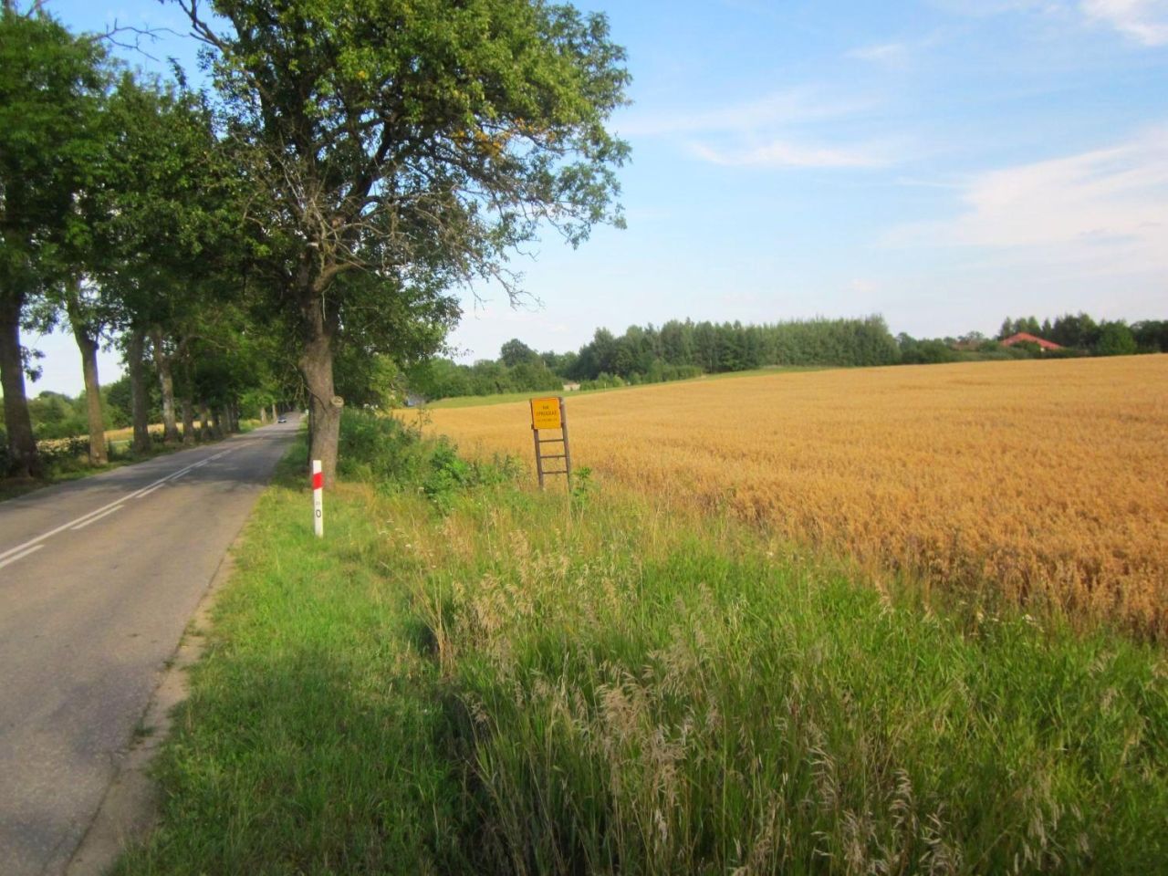 Działka budowlana Świątki. Zdjęcie 4