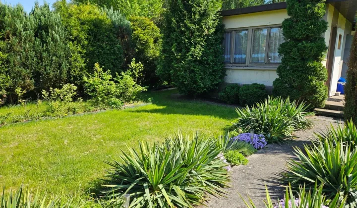 Działka rod Gliwice Szobiszowice, ul. Kujawska