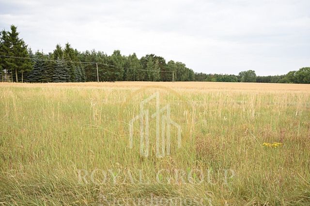 Działka siedliskowa Górka. Zdjęcie 6