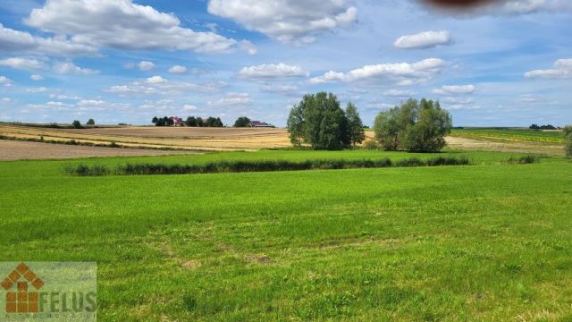 Działka rolno-budowlana Czuszów. Zdjęcie 6