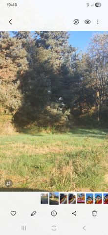 Działka budowlana Mirów. Zdjęcie 1