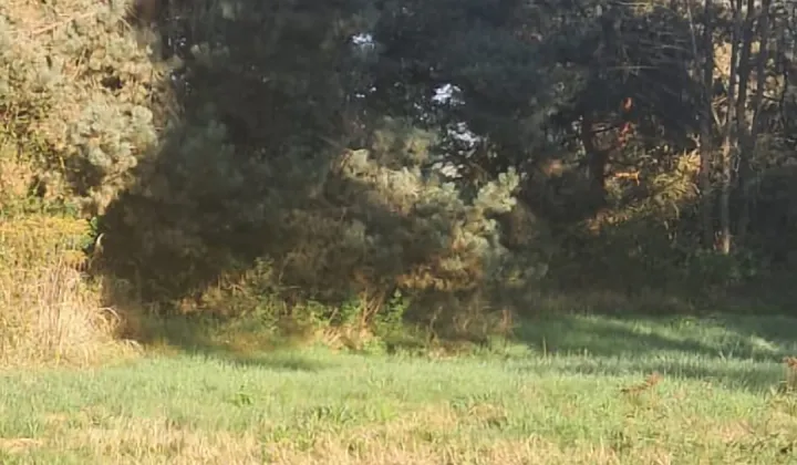 Działka budowlana Mirów