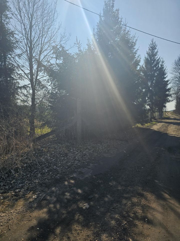 dom wolnostojący, 2 pokoje Dargikowo. Zdjęcie 3