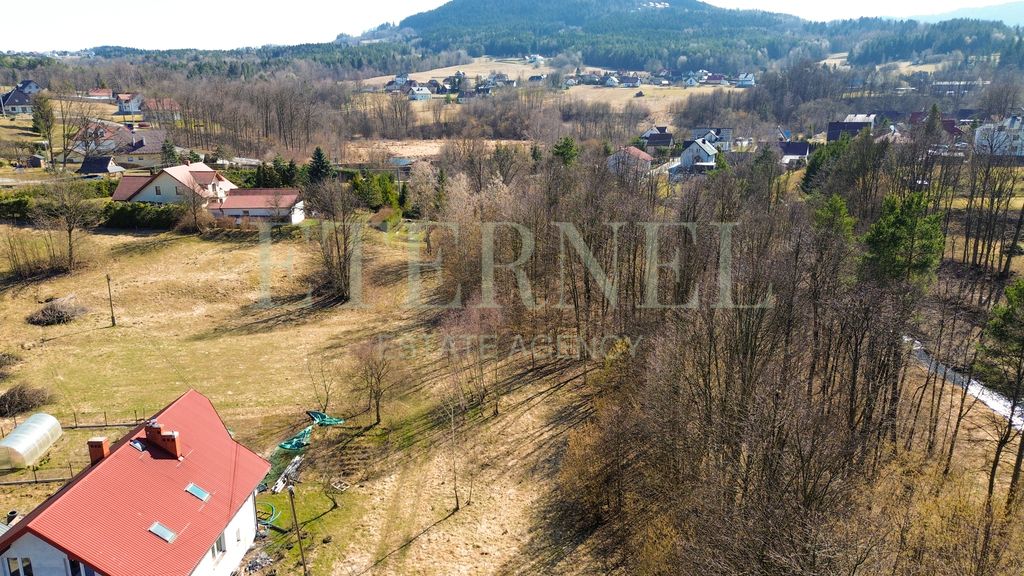 Działka rolna Stara Wieś. Zdjęcie 4