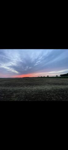 Działka budowlana Tarchalin, Wewnętrzna. Zdjęcie 6