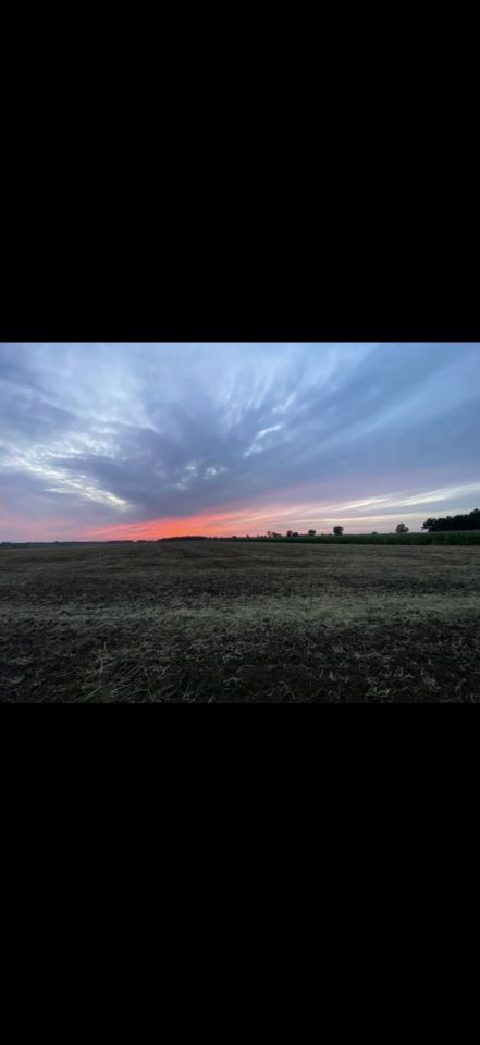 Działka budowlana Tarchalin, Wewnętrzna. Zdjęcie 6