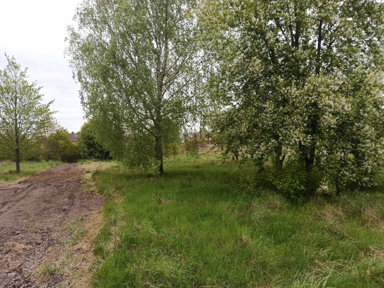 Działka budowlana Bielsk Podlaski, ul. Polna. Zdjęcie 2