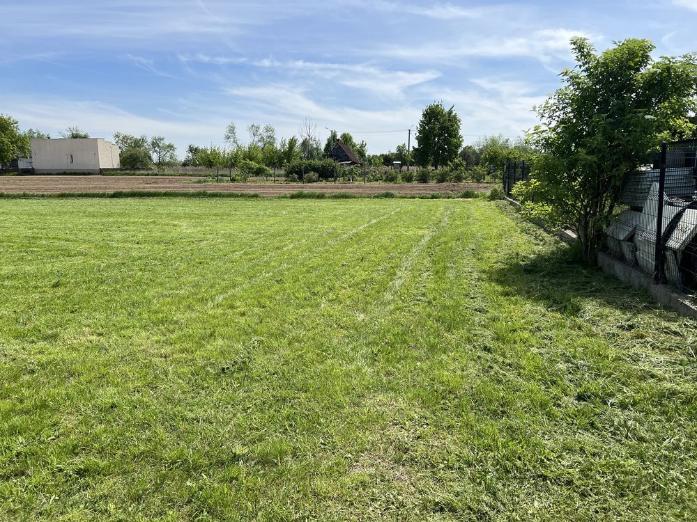 Działka rolna Cudów. Zdjęcie 5