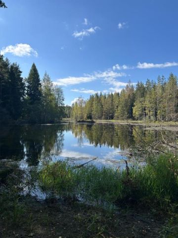 Działka siedliskowa Łomnica, ul. Karpnicka. Zdjęcie 10