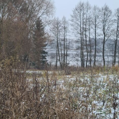 Działka rolna Karwie. Zdjęcie 10