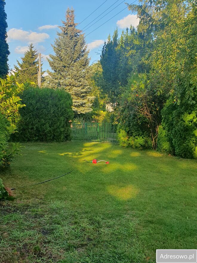 Działka rod Poznań, ul. Pusta. Zdjęcie 7