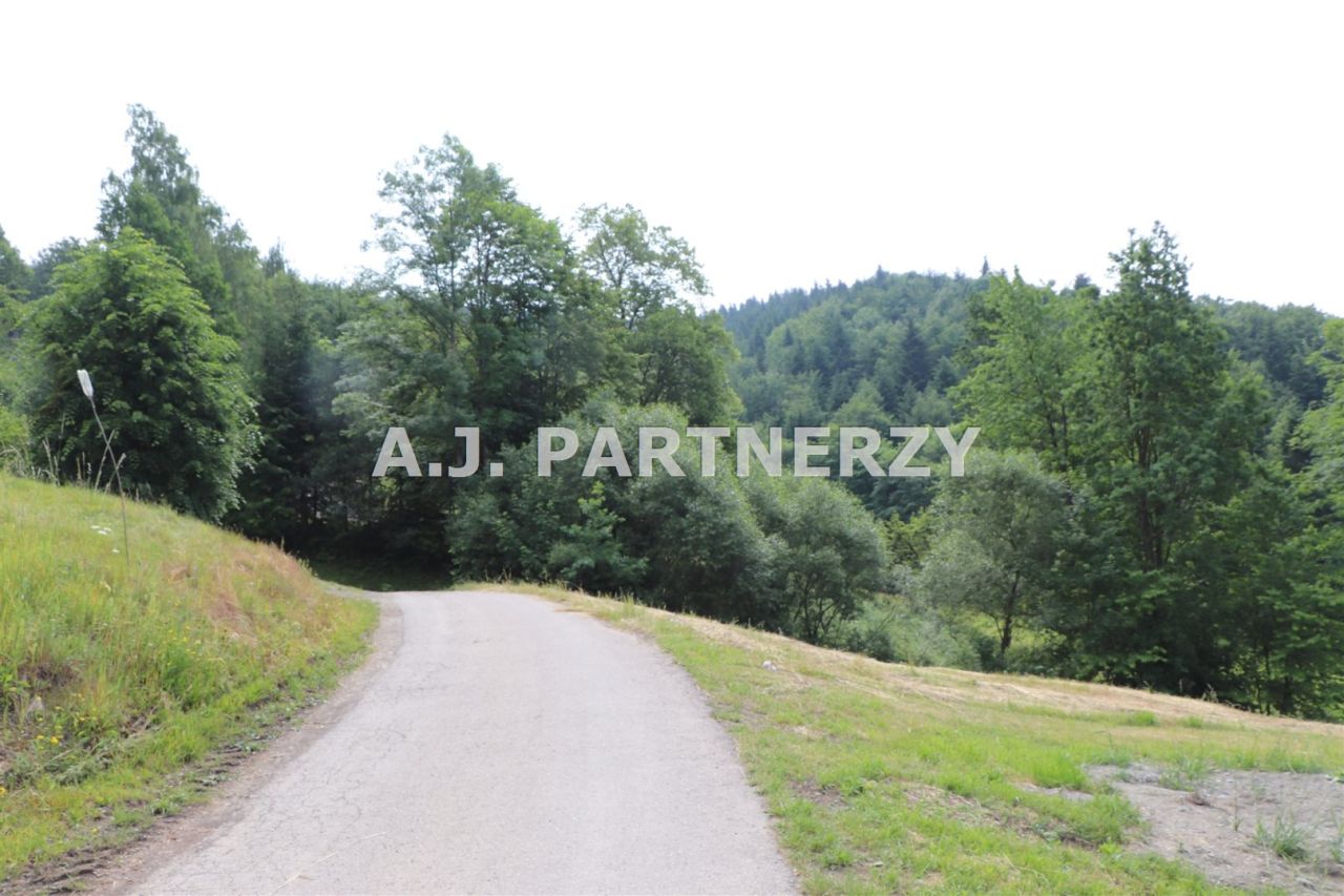 Działka Pasierbiec. Zdjęcie 5