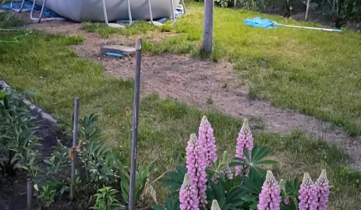 Działka rod Leszno, ul. Szybowników