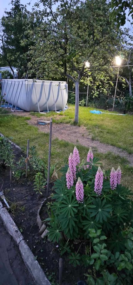 Działka rod Leszno, ul. Szybowników. Zdjęcie 1