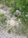 Działka budowlana Sławoborze, ul. Leśna. Zdjęcie 4