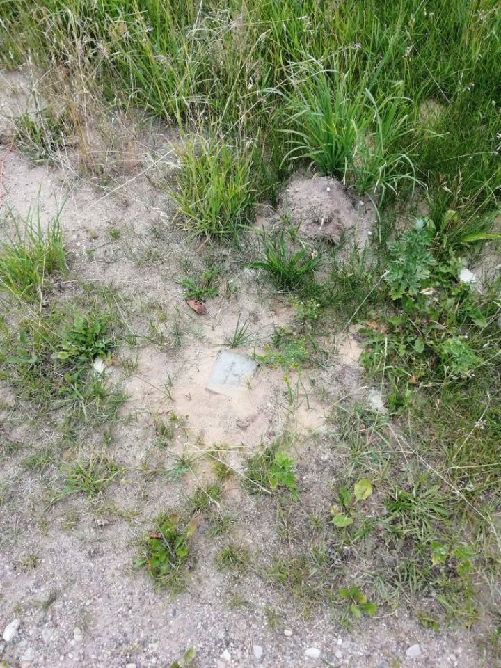 Działka budowlana Sławoborze, ul. Leśna. Zdjęcie 5