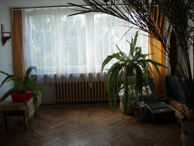 Mieszkanie 1-pokojowe Puławy Centrum, ul. Leśna. Zdjęcie 1