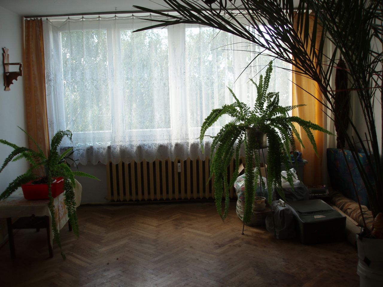 Mieszkanie 1-pokojowe Puławy Centrum, ul. Leśna