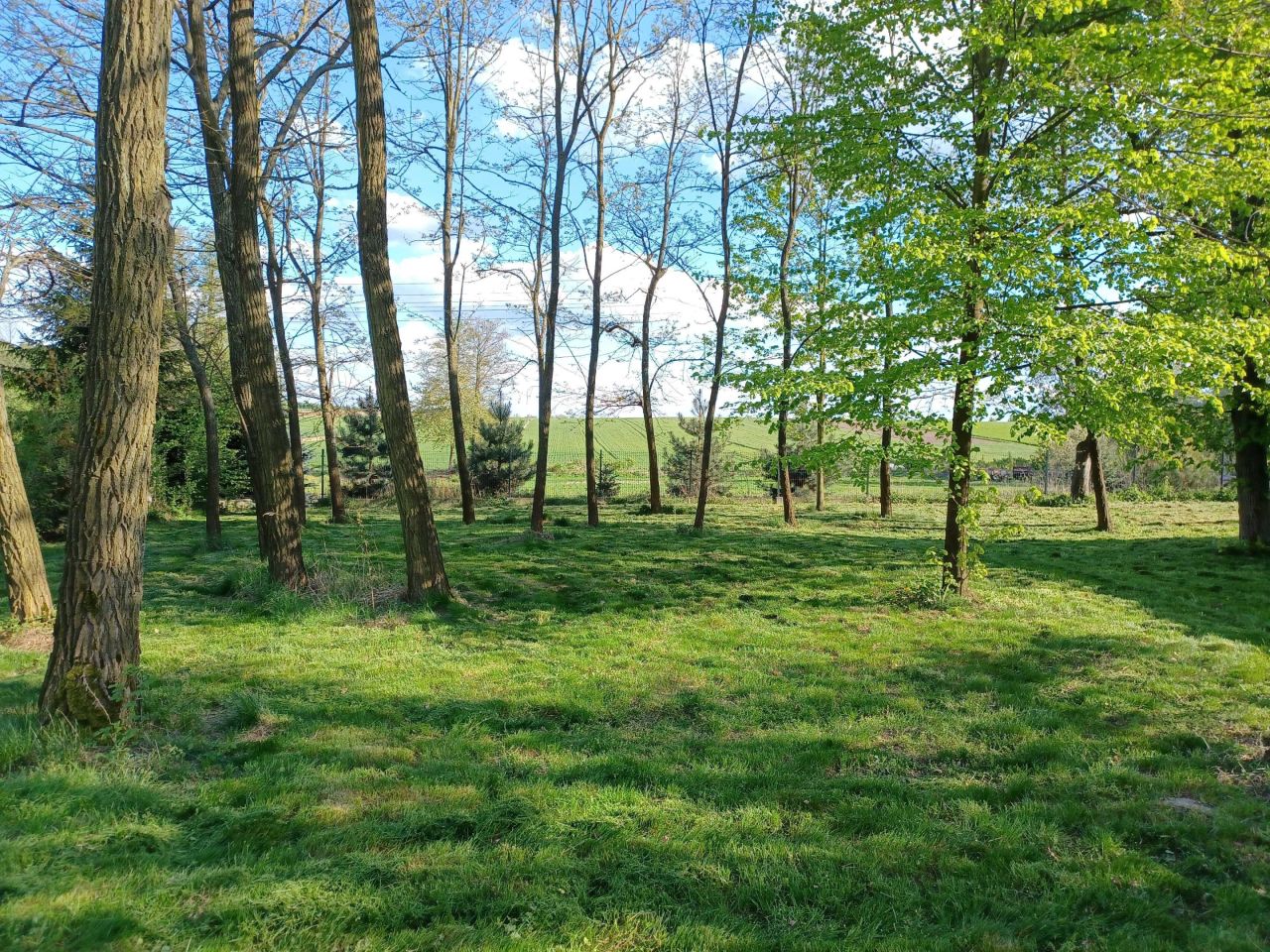 Działka rolno-budowlana Godzianów