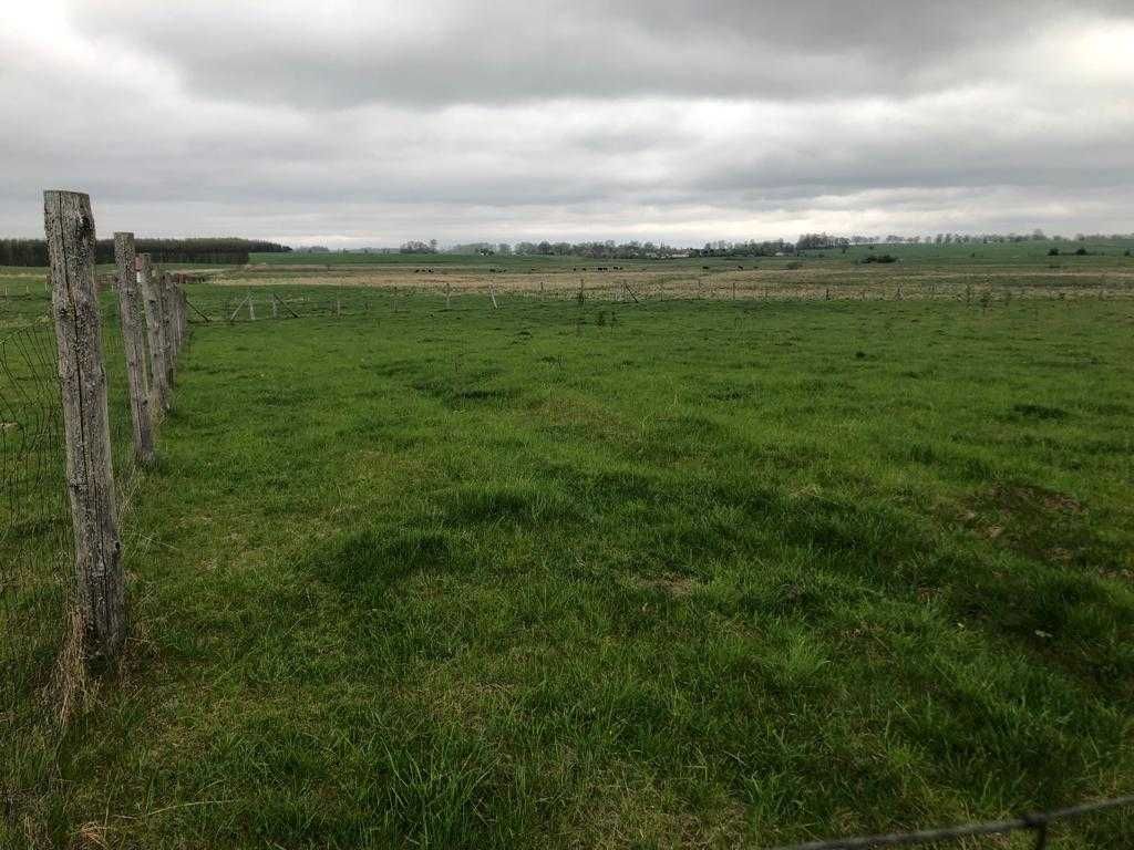 Działka rolna Goleń. Zdjęcie 5