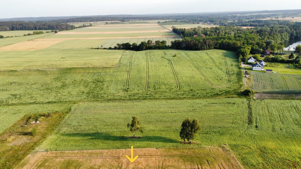 Działka rolno-budowlana Wysoka. Zdjęcie 7