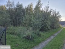 Działka budowlana Miszewko, ul. Gryfa Pomorskiego. Zdjęcie 1