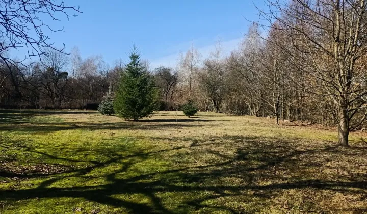 Działka budowlana Łódź Widzew, ul. Łodzianka