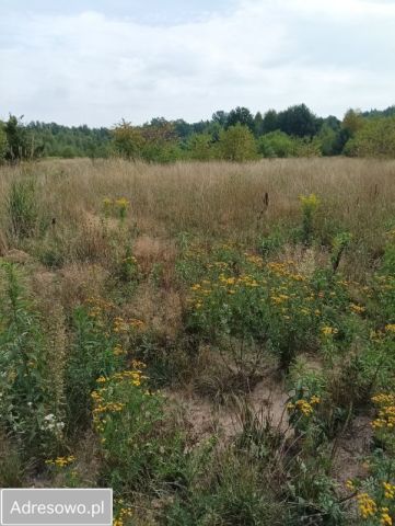Działka budowlana Cegłów, ul. Jodłowa. Zdjęcie 1