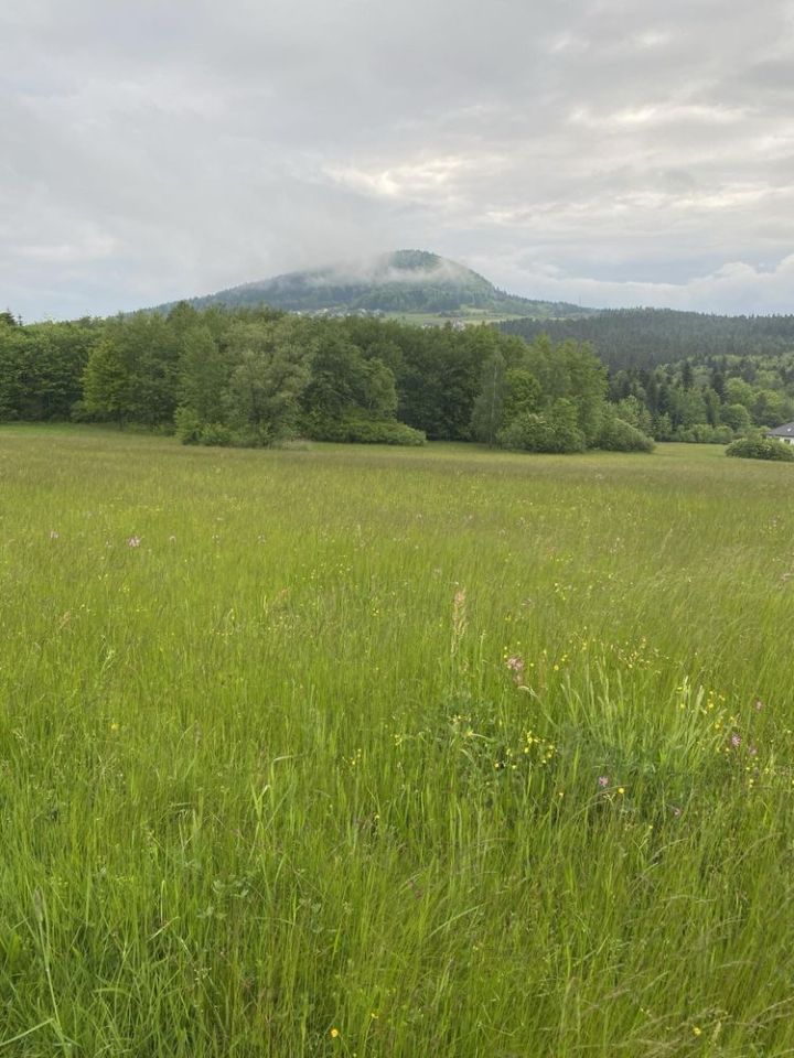 Działka budowlana Ptaszkowa. Zdjęcie 7