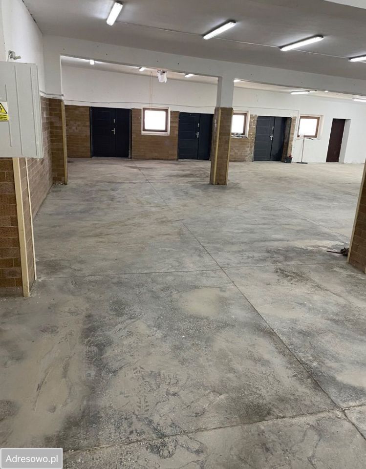 Hala/magazyn Świecie. Zdjęcie 6