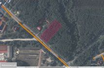 Działka leśna Janowiec, ul. Spółdzielcza