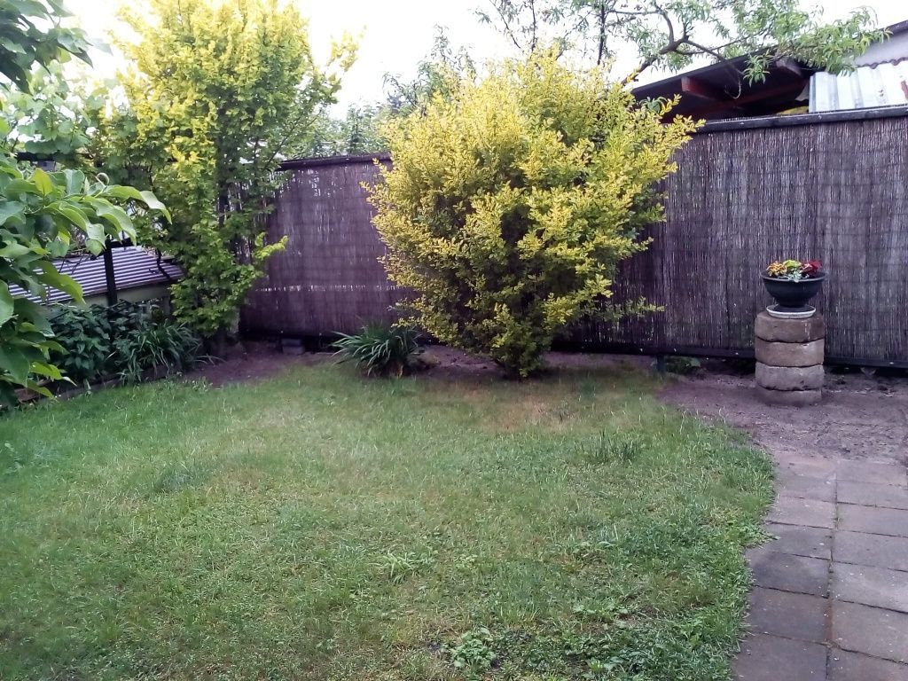 Działka rod Ostrów Wielkopolski. Zdjęcie 7