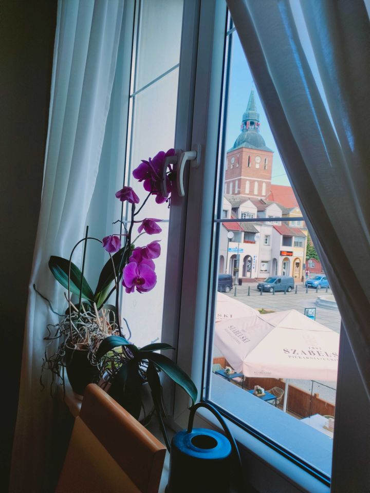 Mieszkanie 2-pokojowe Biskupiec. Zdjęcie 6